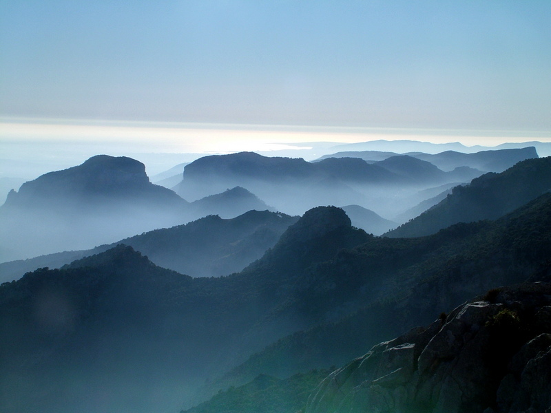 Rough Mallorca