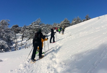 Snowshoe walking