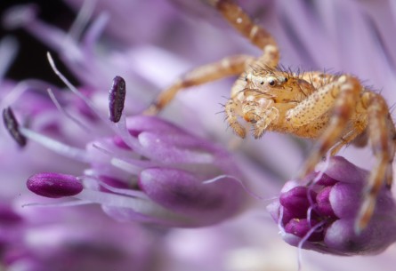 Iniciación a la fotografía de Naturaleza