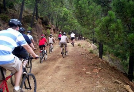 Tu reto MTB en La Pedriza